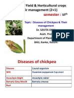 Diseases of Chickpea PDF