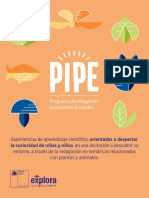 Libro PIPE PDF