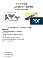 Vertebrate Integumentary System: By: Geonyzl J. Lepiten-Alviola