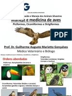 Manejo e Medicina de Aves: Médico Veterinário e Biólogo