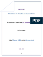 Le Théme Réahbilitation Des Phytorémediation