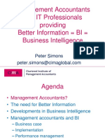 Management Accountants and IT Professionals Providing Better Information BI Business Intelligence