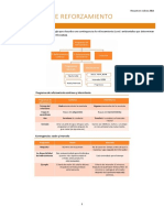 Resumen Programas de Reforzamiento