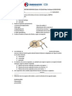 Parcial Sistema Nervioso