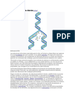 Ejemplo de Modelo Híbrido