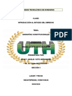 Informe de Garantias Constitucionales