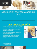 Articulación Temporomandibular (ATM)