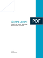 Álgebra Linear I PDF