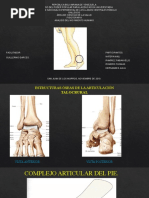 Exposicion de Tobillo