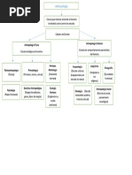 Campos de Estudio Mapa Conceptual