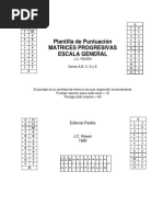 Plantilla de Puntuacion Matrices Progresivas Series A B C D y E PDF