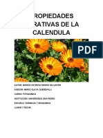 PROPIEDADES CURATIVAS DE LA CALENDULA Ramos Salvador Monografia