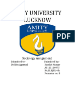 Amity University Lucknow: Sociology Assignment