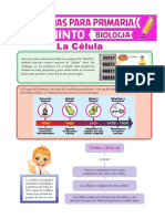 La Célula para Quinto de Primaria PDF