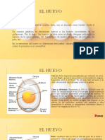 Técnicas Básicas de Pasteleria (Huevo) - Clase 2