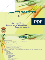 09campylobacter I