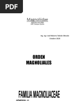 Magnoliidae PDF