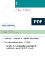 From Gene To Protein: Powerpoint Lectures For