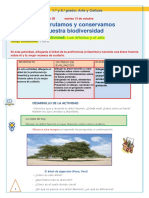 s28 Primaria 1 2 Arte PDF