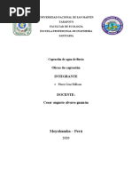 INFORME-CAPTACIÓN-DE-AGUA-PLUVIAL Oficial