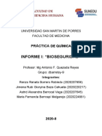 Informe I Bioseguridad-Química