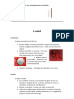 O SANGUe - Resumo e Questões