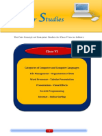 RS VI 6 ComputerStudies