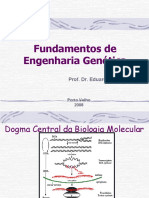 Aula Engenharia Genetica Biomedicina 1216312497601938 8