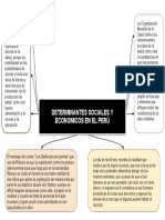 Determinantes Sociales y Economicos en El Peru