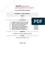 Informe 1 Histología Práctica