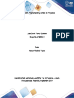 Planificación - Programación y Control de Proyectos Fase 1