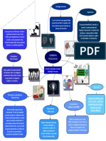 Mapa Mental Psicología