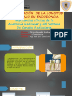 Seminario Endo Determinacion de La Longitud de Trabajo