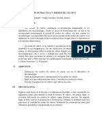 INFORME DE PRÁCTICA V - MEDIOS DE CULTIVO Alonso Vargas