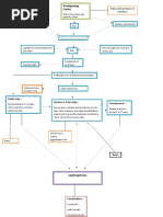 Pathophysiology of Leptospirosis and Dengue Fever