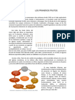 SMI - Los Primeros Frutos, Artículo Exégeta