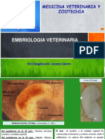 Práctica de Embriología Veterinaria