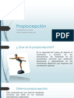 Propiocepción