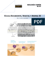 Citoplasma PDF