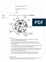 Autoevaluación TP 11 - Cuestionario Único