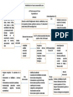 Mapa Conceptual TCE Leve