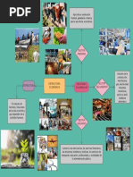 Estructura Economica