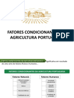 Fatores Condicionantes Agricultura