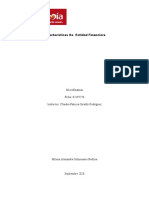 Características de Una Entidad Financiera Milena Colmenares