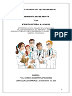 El Individuo y Su Familia Genesis y Evolucion de La Enfermedad y Niveles de Prevencion Medicina Tradicional