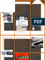 Chemical Properties of Minerals: James Mark P. Forro