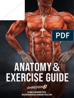 Shreddin8 Muscle Anatomy