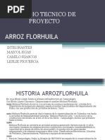 Arroz Florhuila