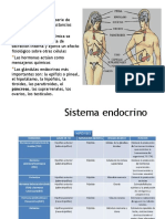 Neurotransmisores Diapositivas