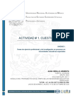 Áreas de Ejercicio Profesional y de Investigación en Procesos en Necesidades Educativas Especiales